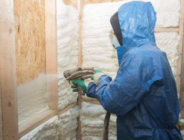 Best Wall Insulation Installation  in USA